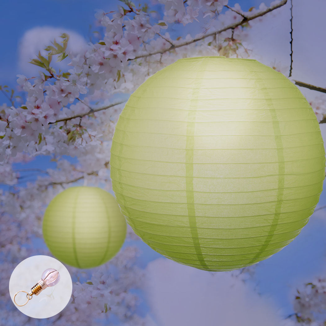 12" Paper Lanterns for Wedding Party-1910113019657064454