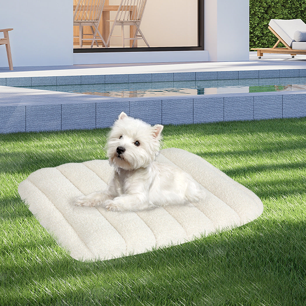 Pawz M Size Orthopedic Dog Bed with Sherpa Plush Removable Cover in White-1954802482236493831