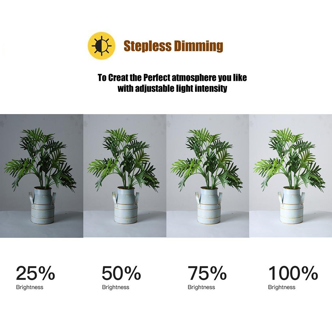 12 Two-Colour Dimmable Ring Fill Light With Tripod - 28W 100-240V-1915198249304723460