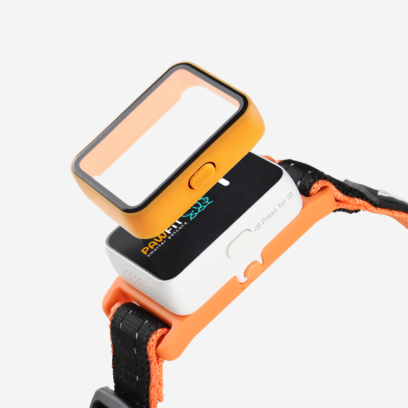 Pawfit 3 Case Orange-1869883043167211521
