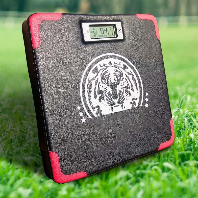 Smart Boxing Strength Tester For Training Sandbags-1964932285446885384