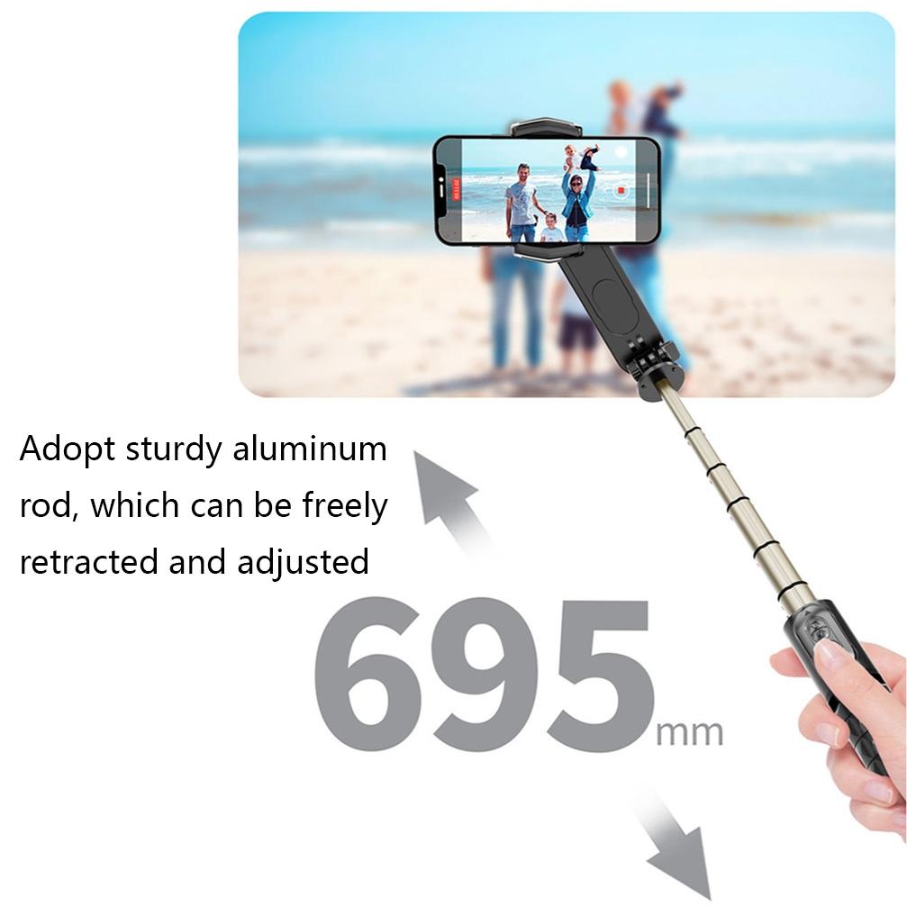 Handheld Stabilizer With Removable Fill Light And App - Black-1915196882347495428