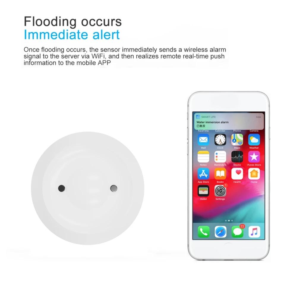 Smart Water Leak Detector With Zigbee & Wifi-1915197521664282626
