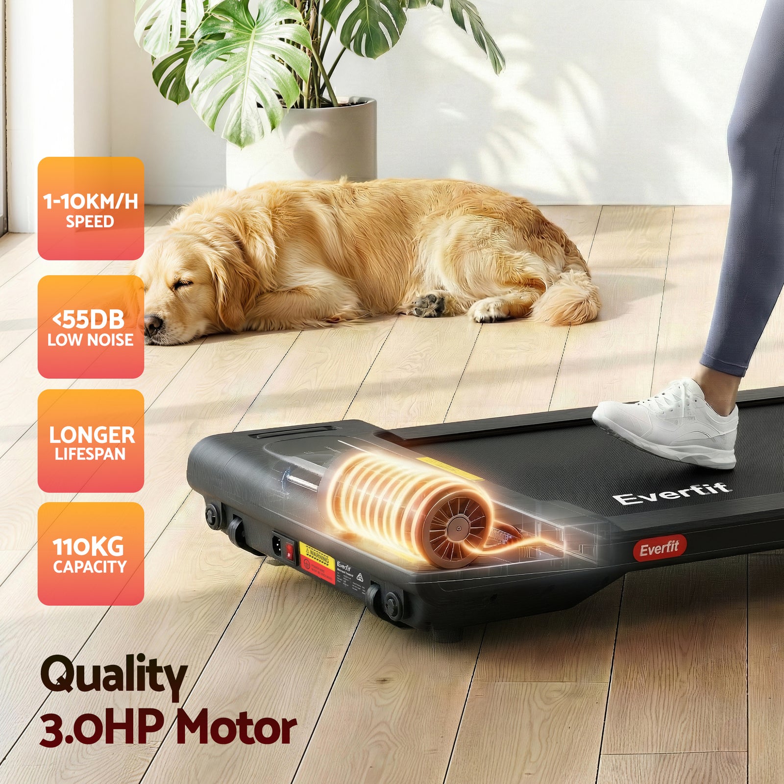 Everfit Walking Pad Treadmill 2 in 1 Foldable Under Desk for Home Gym With 38cm Belt With APP