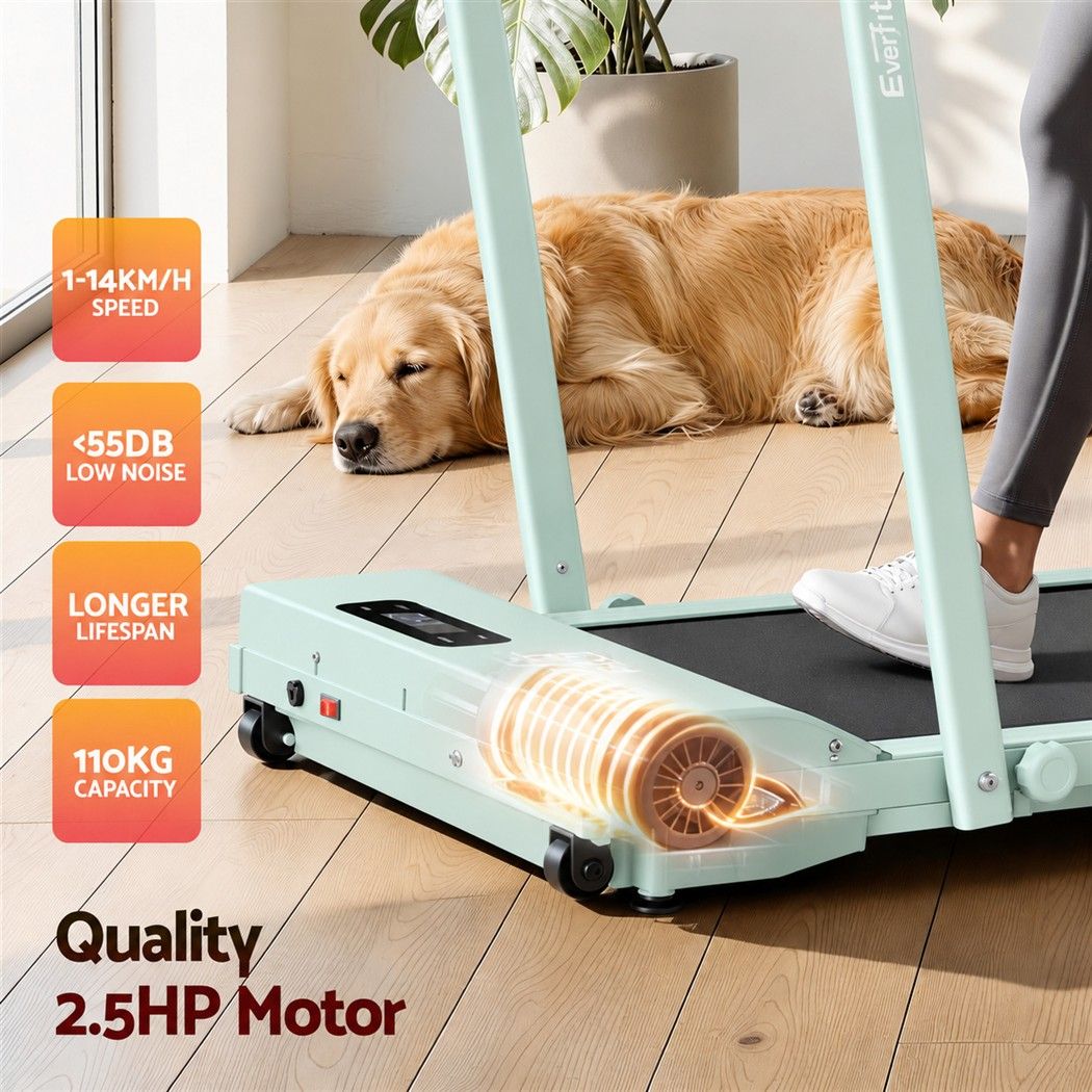 Everfit 3 in 1 Walking Pad Treadmill 12% Incline Foldable Under Desk Treadmills for Home 38cm Green