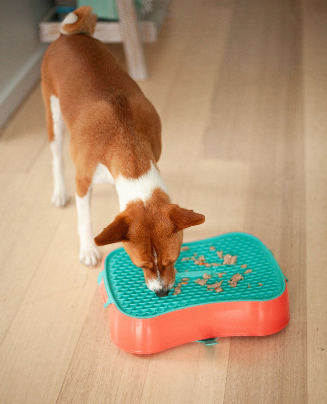 4-in-1 Slow Feeder Dog Bowl - Warm Ocean Red Bowl with Teal Lickmat