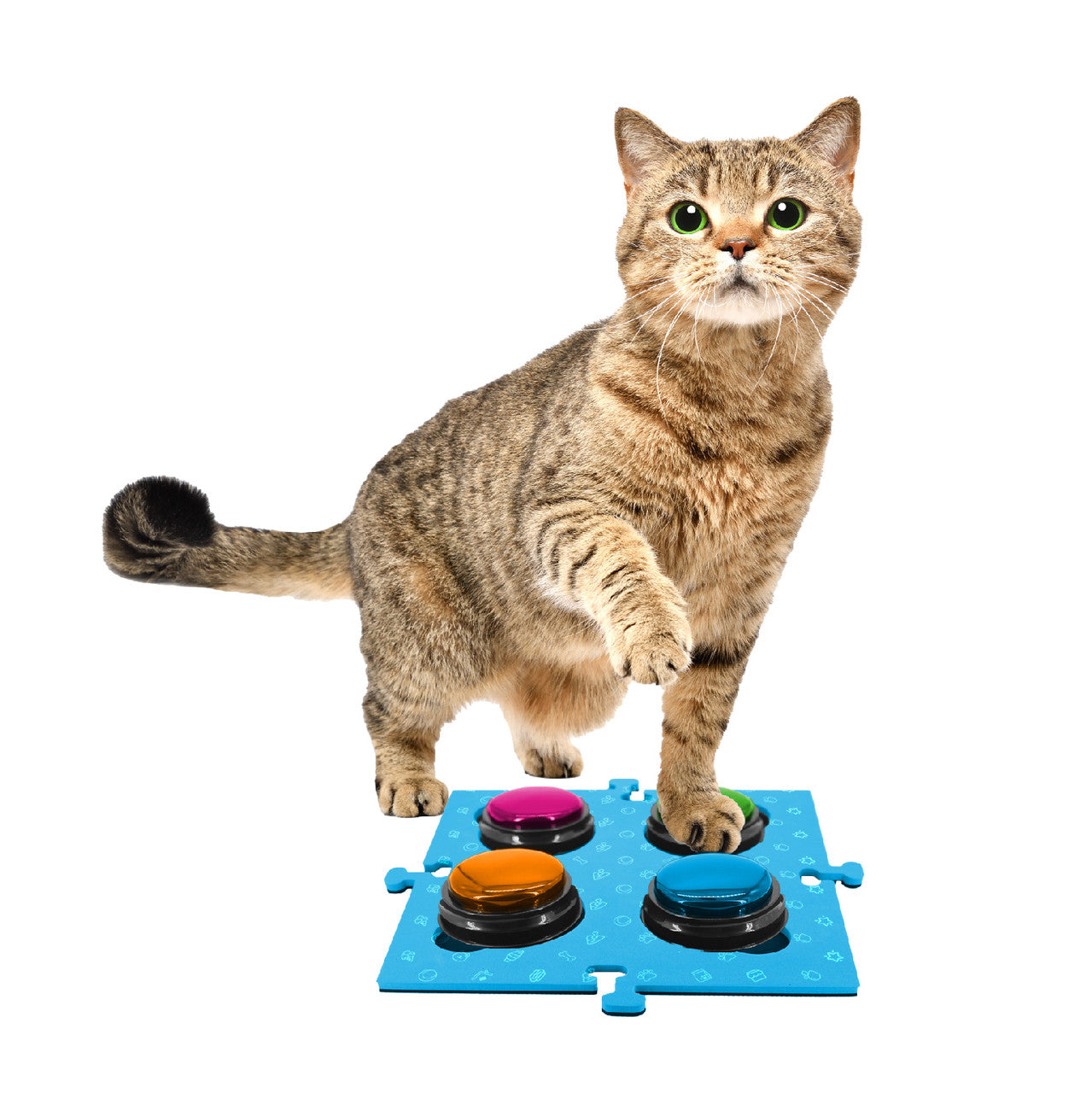 Tech4Pets Blue Mat 2-Pack for Talking Buttons & Floor