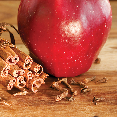 Spiced Apple Wax Melts 2.5oz - RRP $7.95 - Wholesale