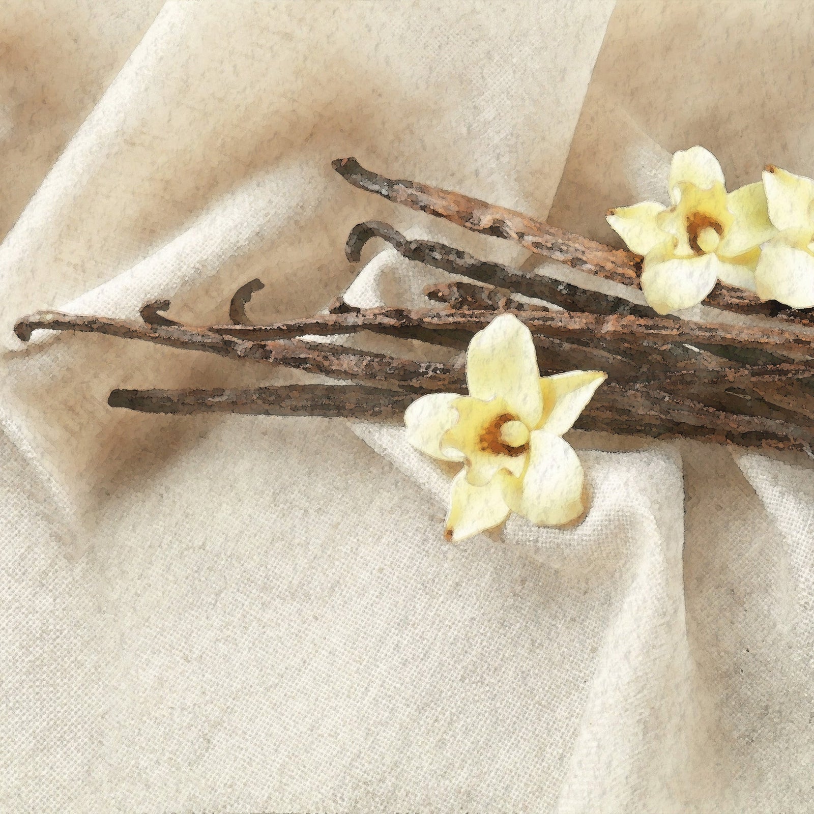 Vanilla Dream Scents