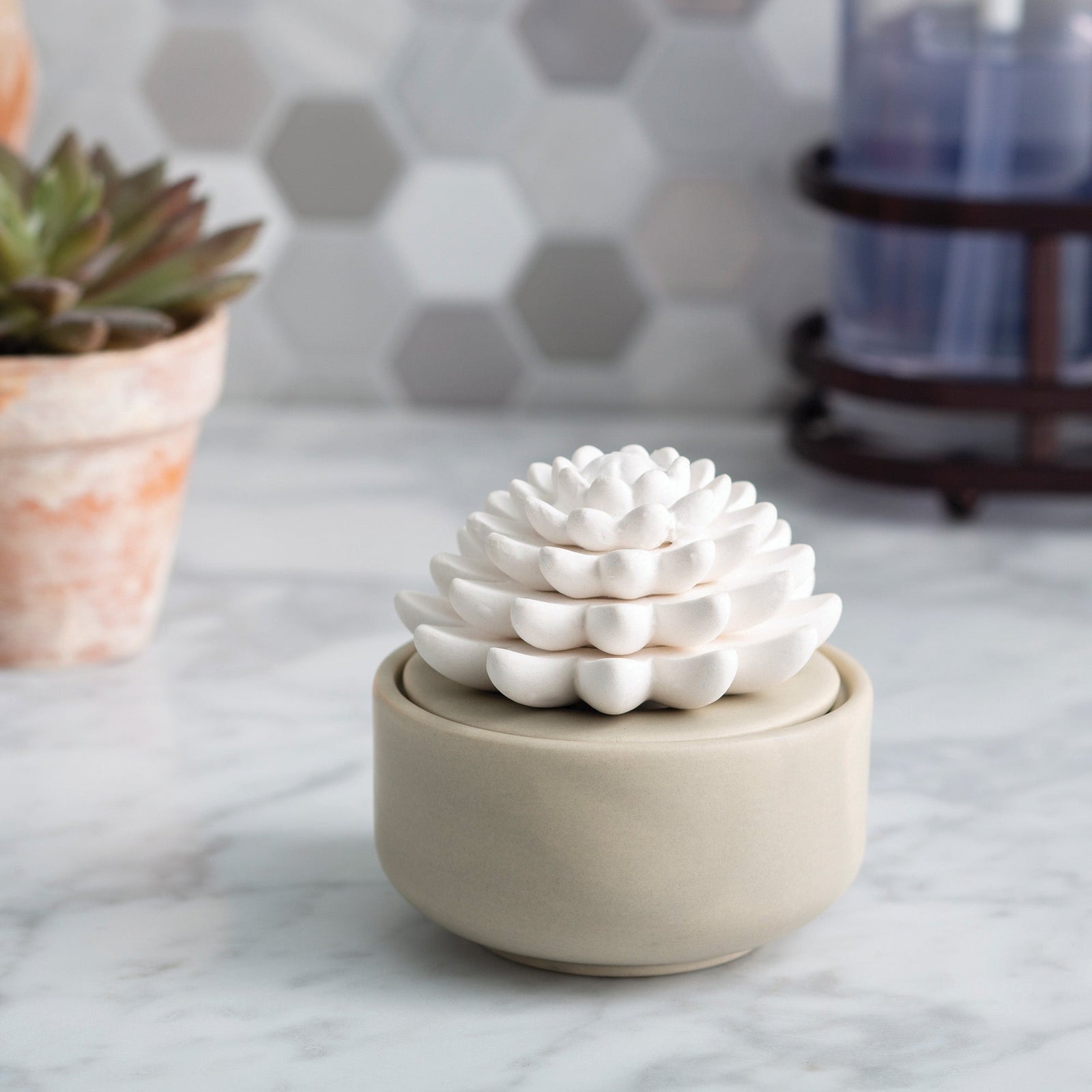 Succulent Porcelain Passive Diffuser - RRP $29.95 - Wholesale