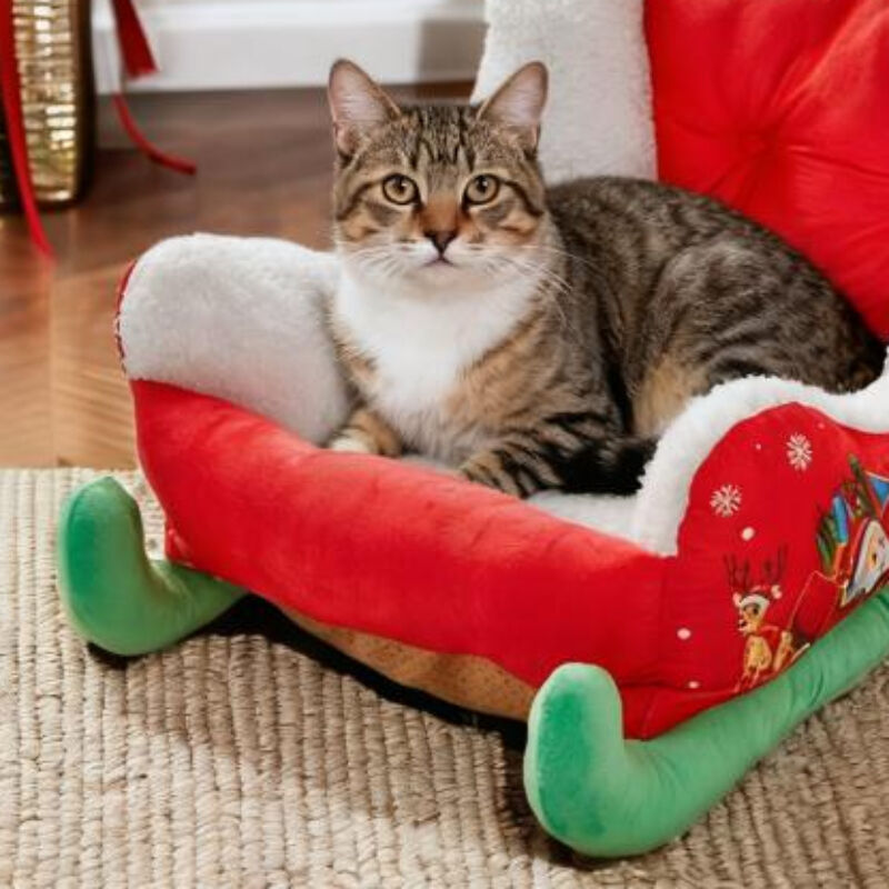 Christmas sled cat bed and dog house-winter warm pet bed, detachable and washable, without assembly, comfortable/outdoor pet sofa, suitable for cats and small dogs, snow house design.