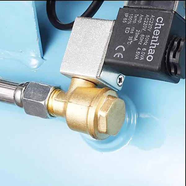 Check valve Foot valve Non-return valve