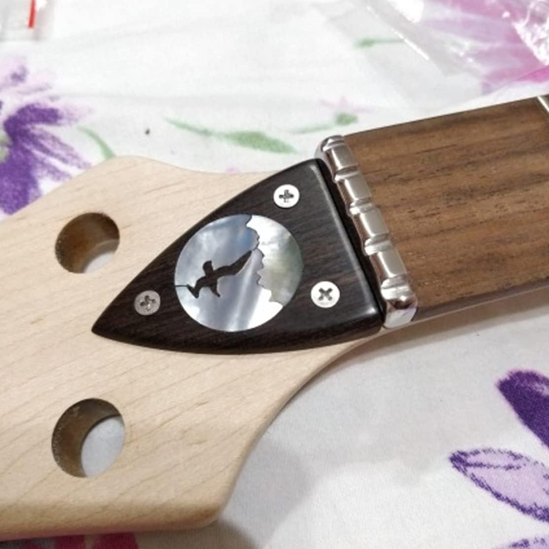 Ebony Wood Blanks 2 pcs High Gloss Fade-Resistant for DIY Musical Instrument Making