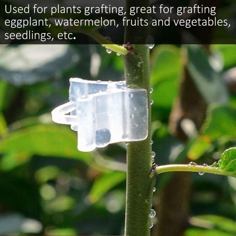 Gardening Grafting Clips 100 pcs Plastic Grafting Support Garden Clip Vegetable Vine Tomato Fruit Trees Mini Gardening