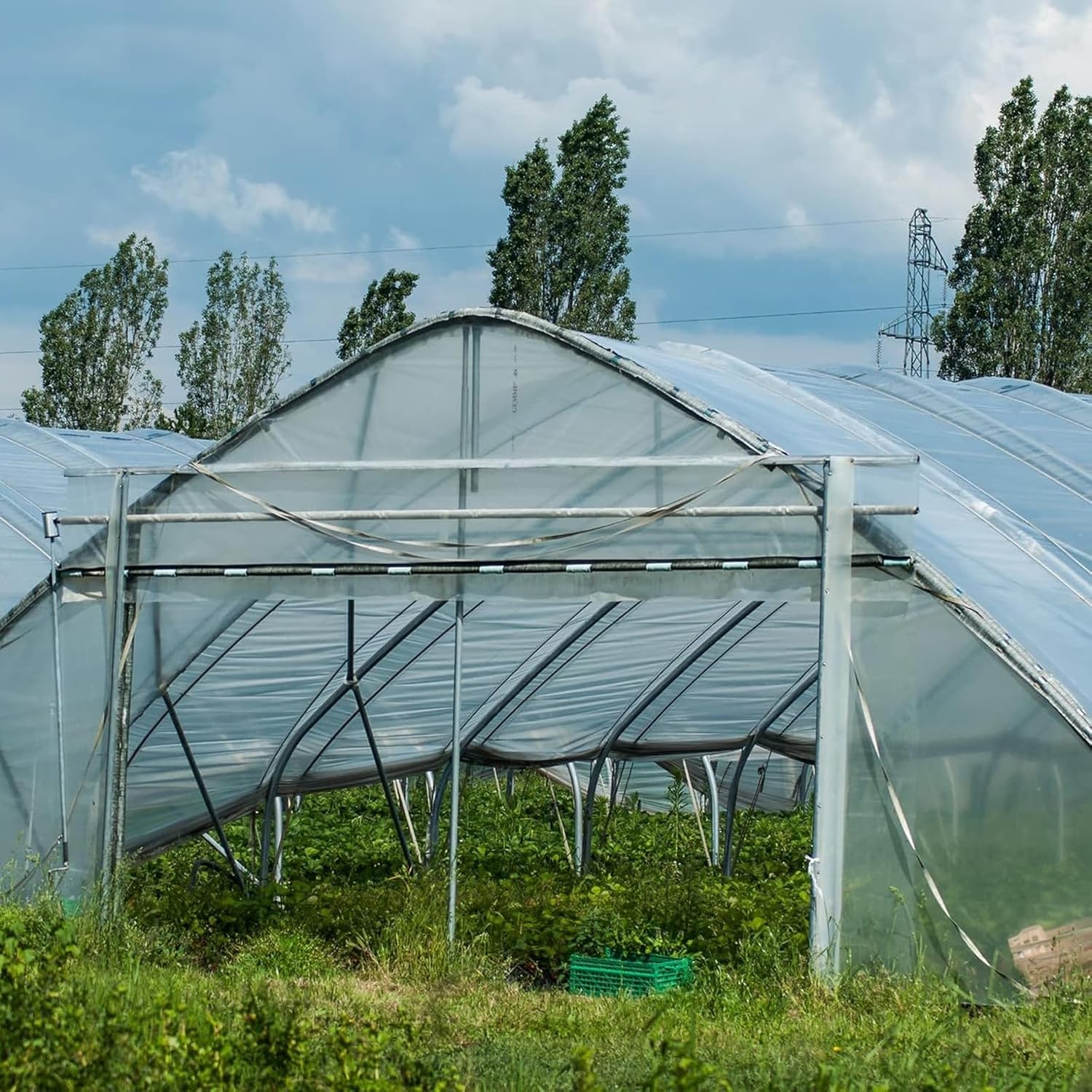 (Special Offer) 2x6m Polyethylene Greenhouse Film, Transparent, Extra Thick Garden Film for Foil Tunnels 10 m