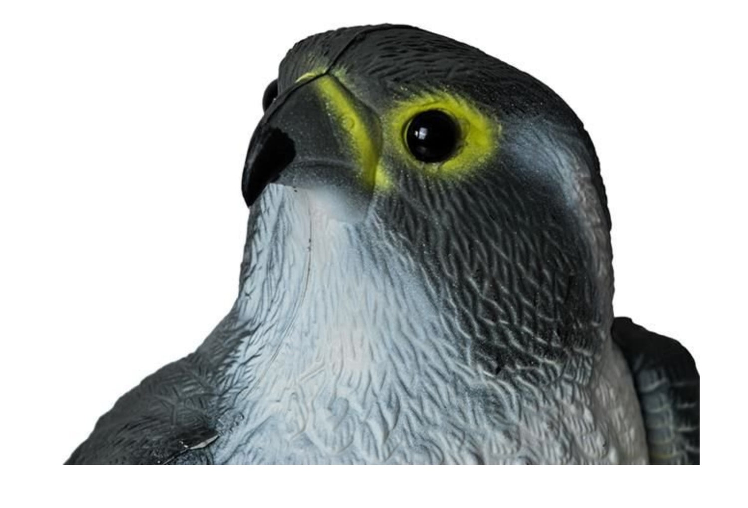 Eagle Scarecrow Repellent Deterrent for Birds