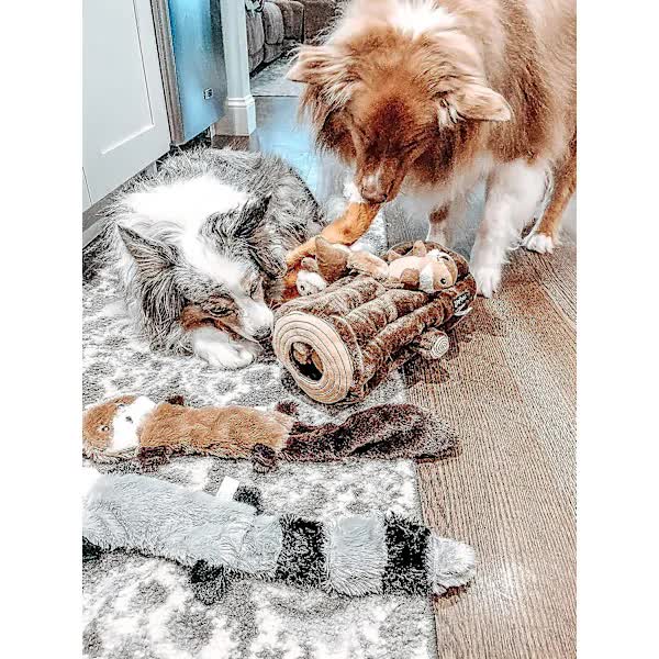 Dog Toys with Squeak and Rattles 3-Pack Plush Chew Toys for Large Medium Dogs