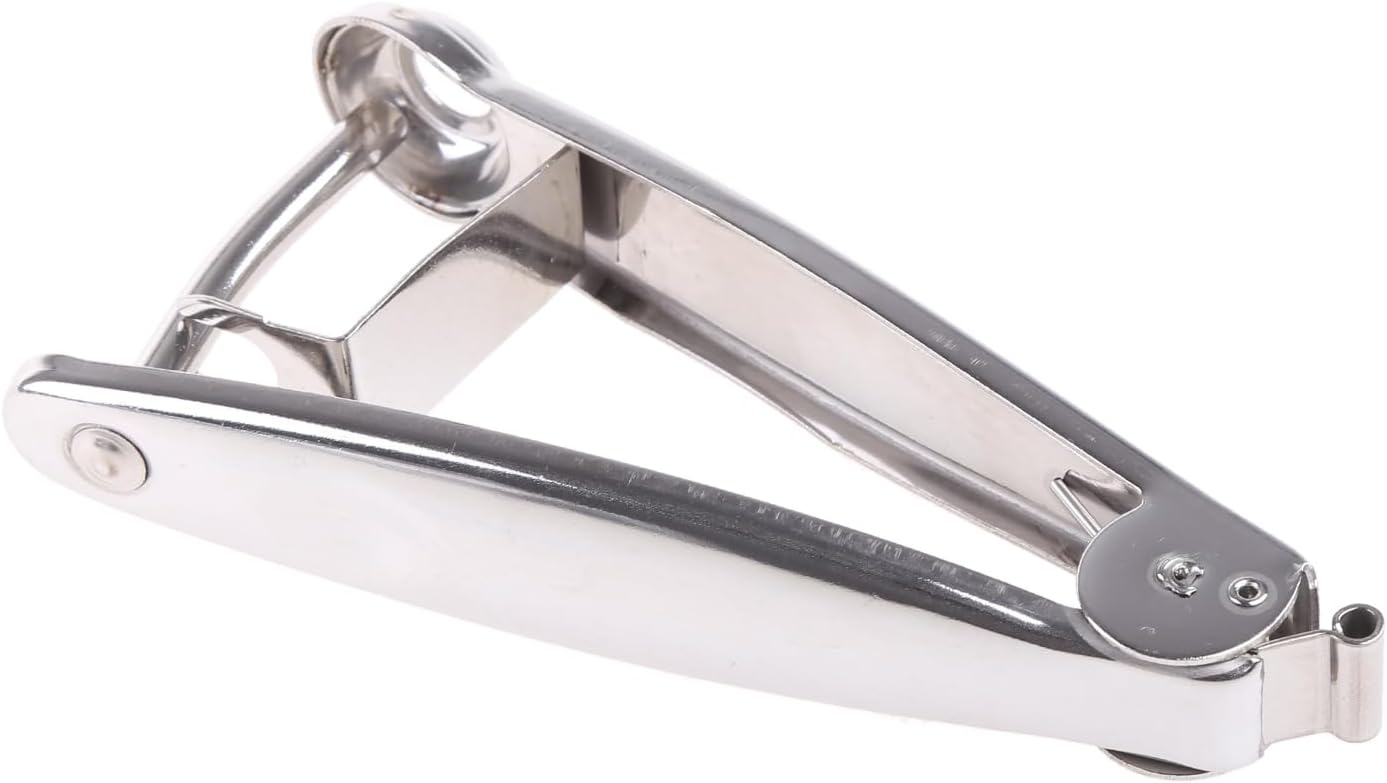 Pitter Tool 304 Stainless Steel O Live Pitter Tool Plum Pitter Stone Remover for Make Peeling for Potatoes