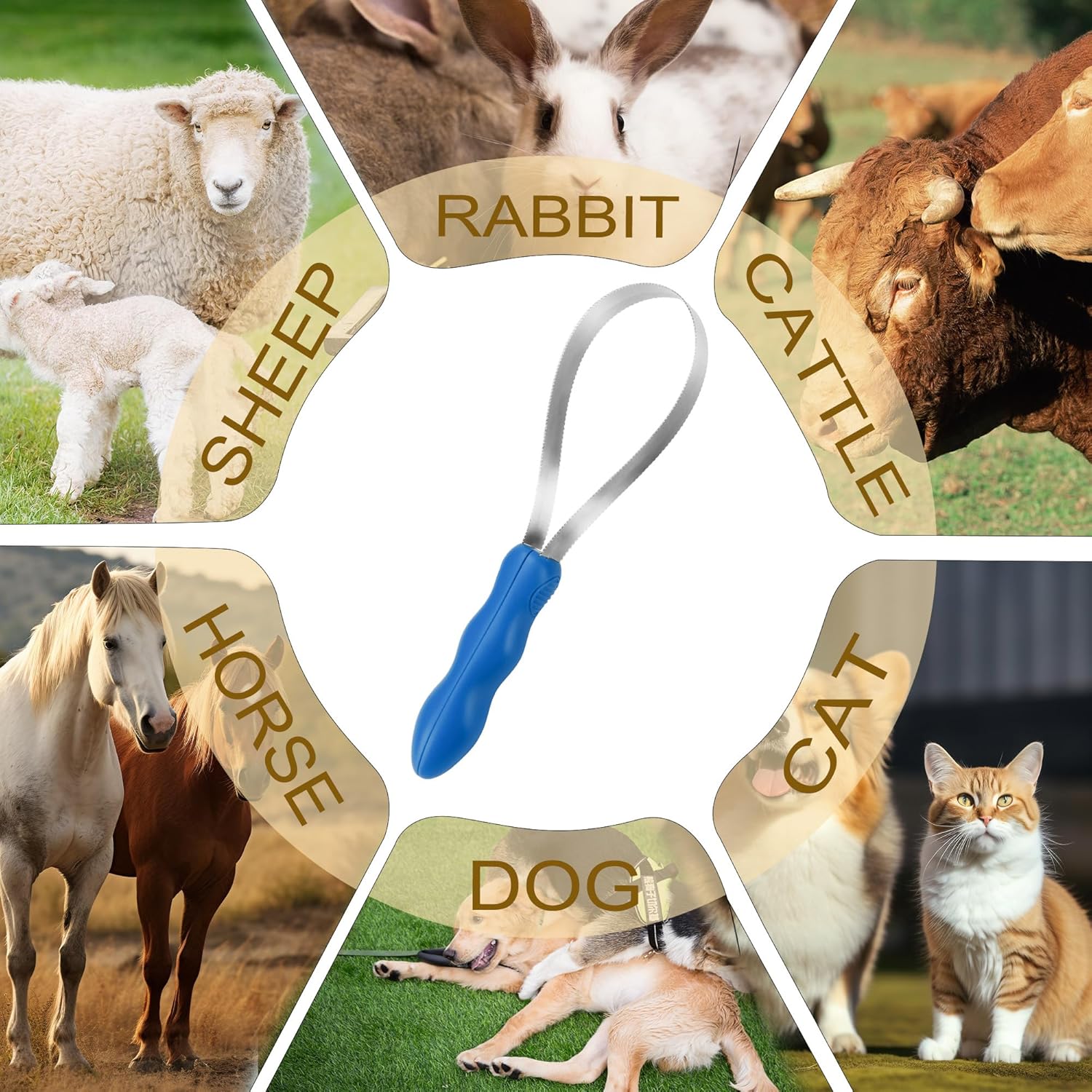 Dual-Sided Shedding Blade Dogs Hair Brush - Stainless Steel Grooming Horse Tool with No-slip Grip - Fine Teeth for Long, Short