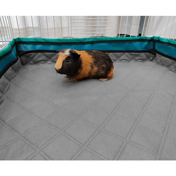 Burmat Guinea pig 60x120 cm 2-pack GINISWEETY