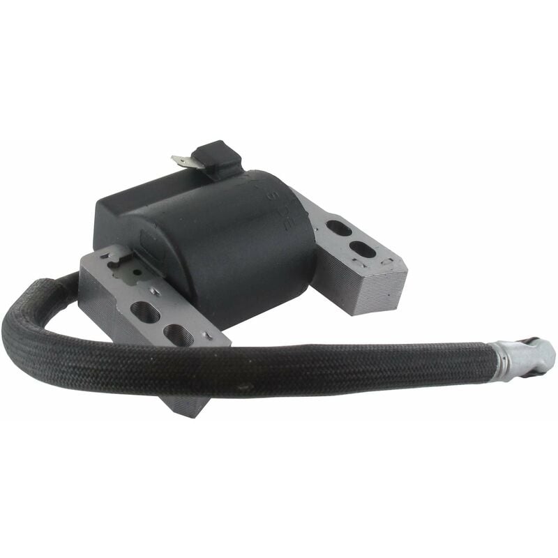 Briggs \u0026 Stratton 796964 Ignition Coil Replacement for Small Engines