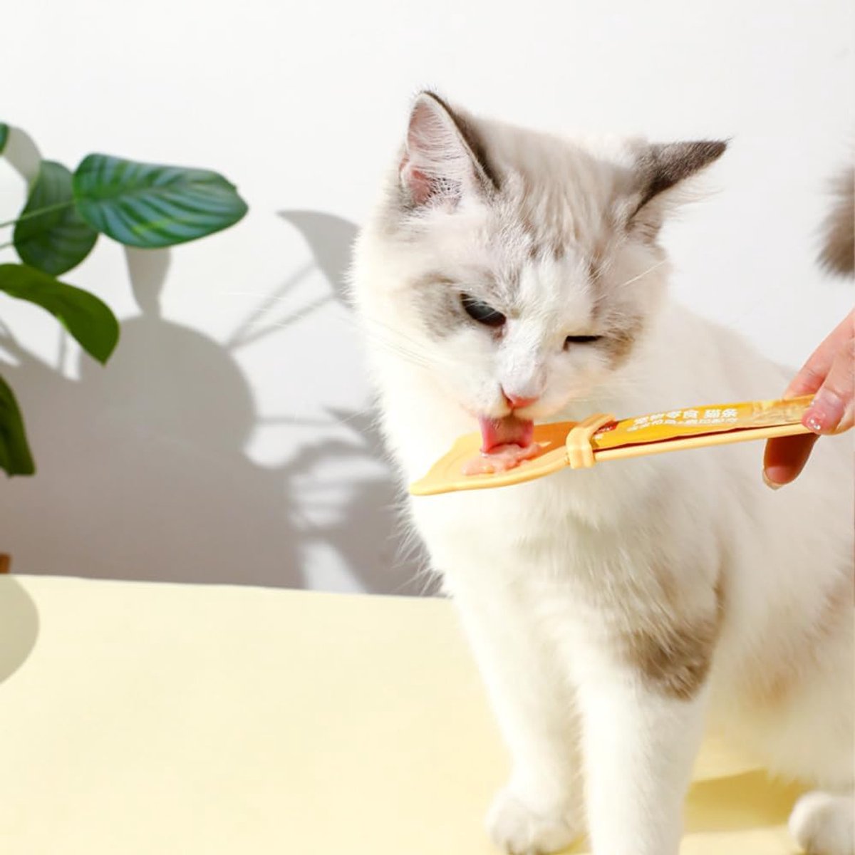 spoon for cats - Squeeze spoon for cat food - Feeding spoon for cat treats - Feeding spoon for wet food - Lick spoon for liquid cat food - Set of 3