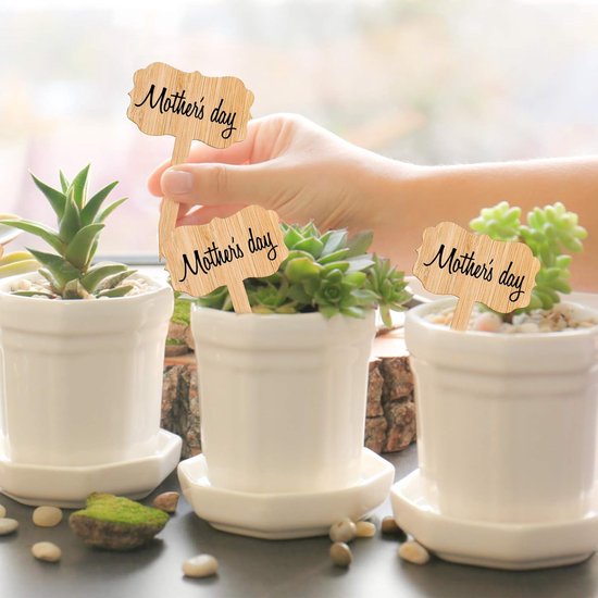 60 plant labels - Wooden plant labels - Wooden garden labels - Decorative garden labels - Suitable for seeds, herbs in pots, flowers and vegetables