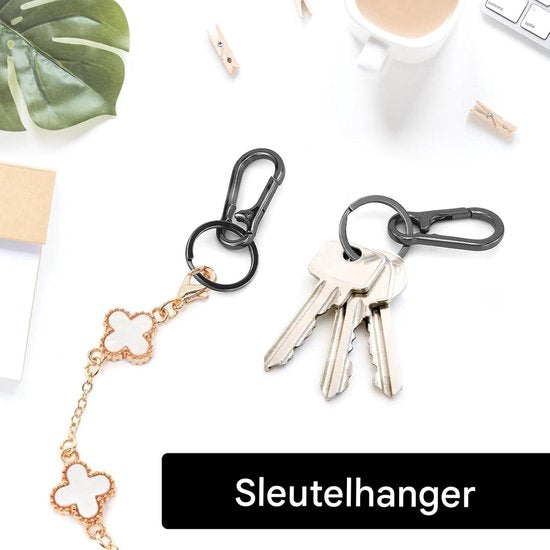 Set of 4 Carabiner Keychains - Small Metal Carabiners - Detachable - Suitable for Car Keys - Carabiner Keychains for Backpacking, Camping and Travel - Keychain Hook