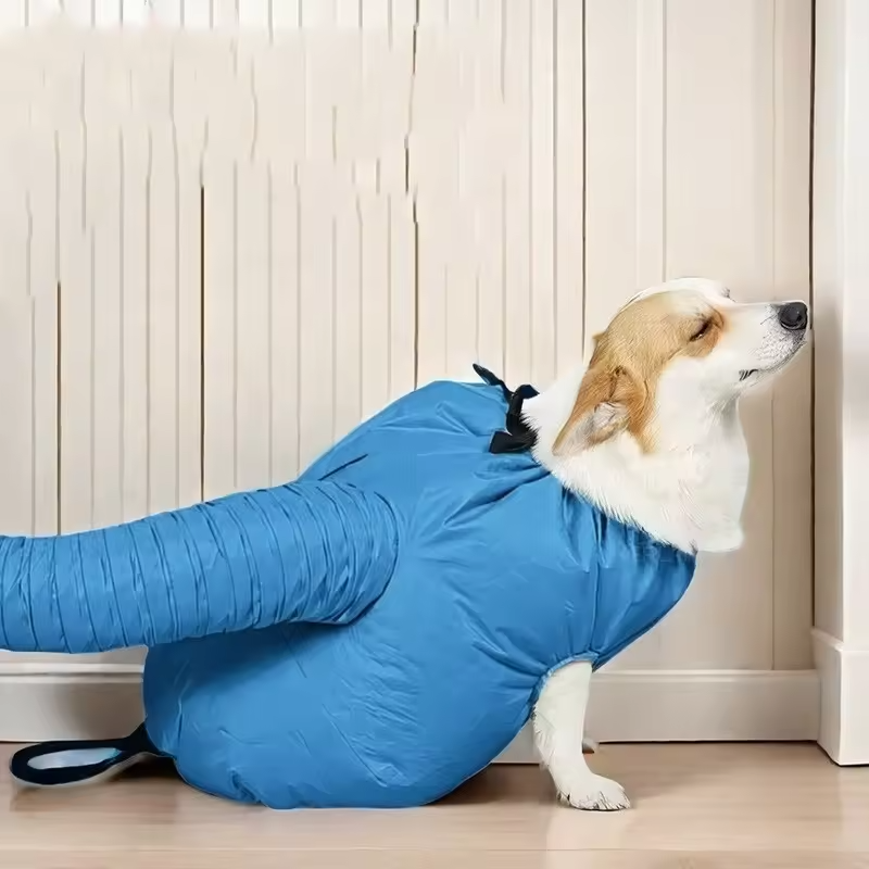 Dog Hair Dryer - Dog Drying Bag - Dog Water Blower - Dog Bathrobe - Dog Hair Dryer - Coat Care - Dog Towel - Animal Supplies - Grooming Salon - Bellows - Dog Hair Dryer - Quick-Drying Size M - Blue - 1 Piece