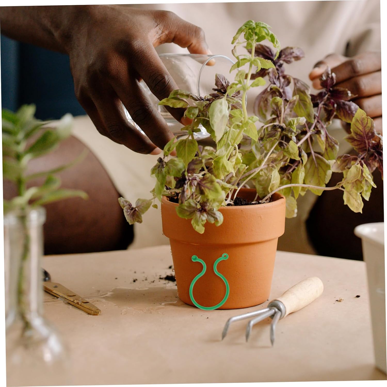 Plant clips - Plant binders - Binding clips - Garden clips - Plant rings - Mounting clips - Plant supports - Vegetable garden accessories - Growing supplies - Climbing plants - Guides - Garden articles - Green - 100 pieces