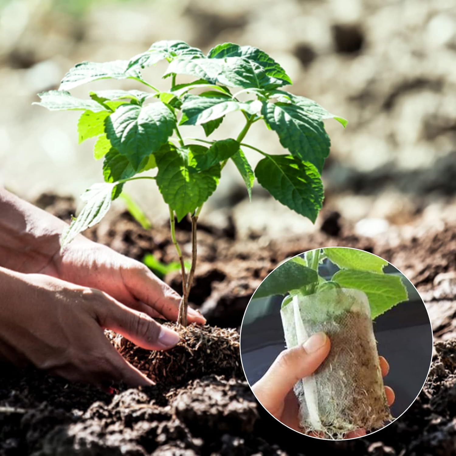 Grow Bags - Gardening - Grow Pots - Vegetable Garden - Seedlings - Plant Bags - Non-woven Grow Bags - Growing Set - Breathable Fleece - Vegetable Garden Box - Growing Box - Sowing - Cuttings - Plant Bags - Vegetable Garden - Vegetable Gardening - Sustaina