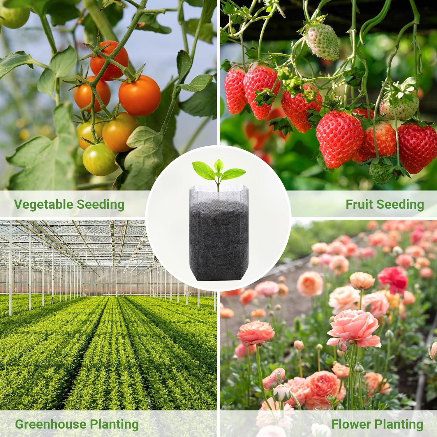 Grow Bags - Gardening - Grow Pots - Vegetable Garden - Seedlings - Plant Bags - Non-woven Grow Bags - Growing Set - Breathable Fleece - Plant Pots - Garden - Sowing - Cuttings - Vegetables - Fruit - Plant Bag - Vegetable Gardening - Sustainable - White -