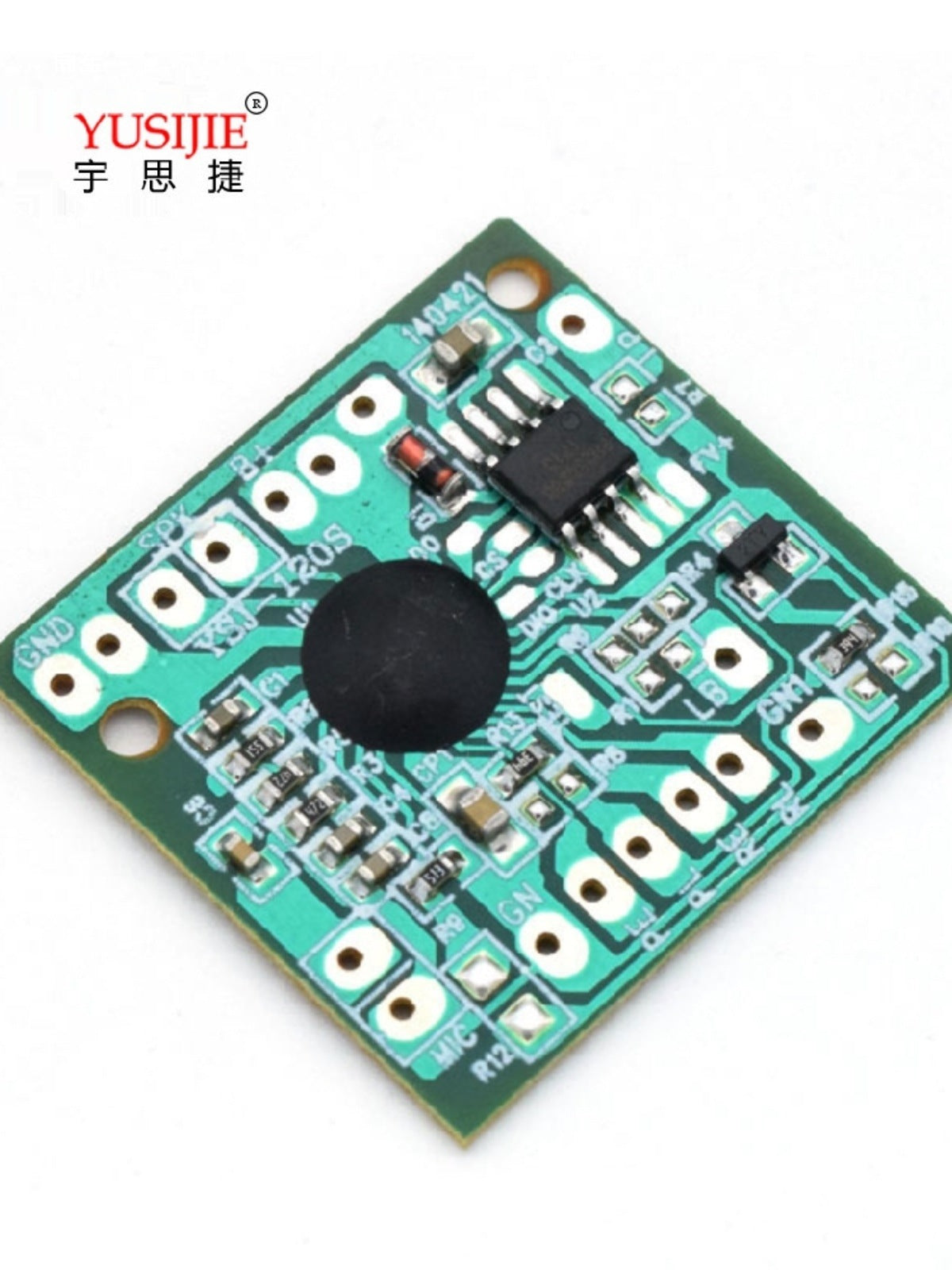 Voice Recording Module - 10-Pack (30-Second Recording Capacity)