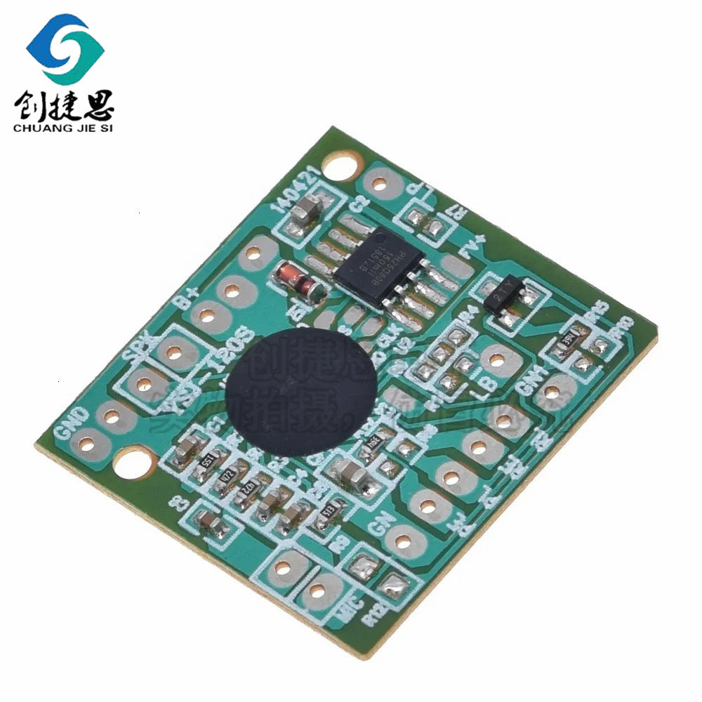 Voice Recording Module - 10-Pack (30-Second Recording Capacity)