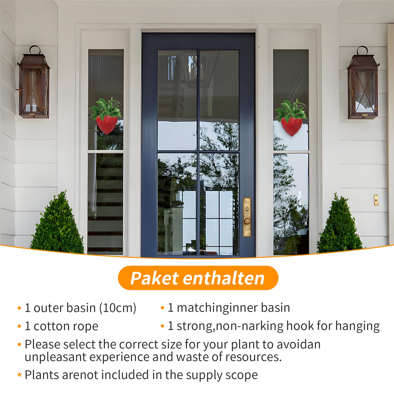 Wall Mounted Planter - NO DRILLING,Houseplant Wall Display Ideas,3D Printed Wall Planter with Drainage Tray