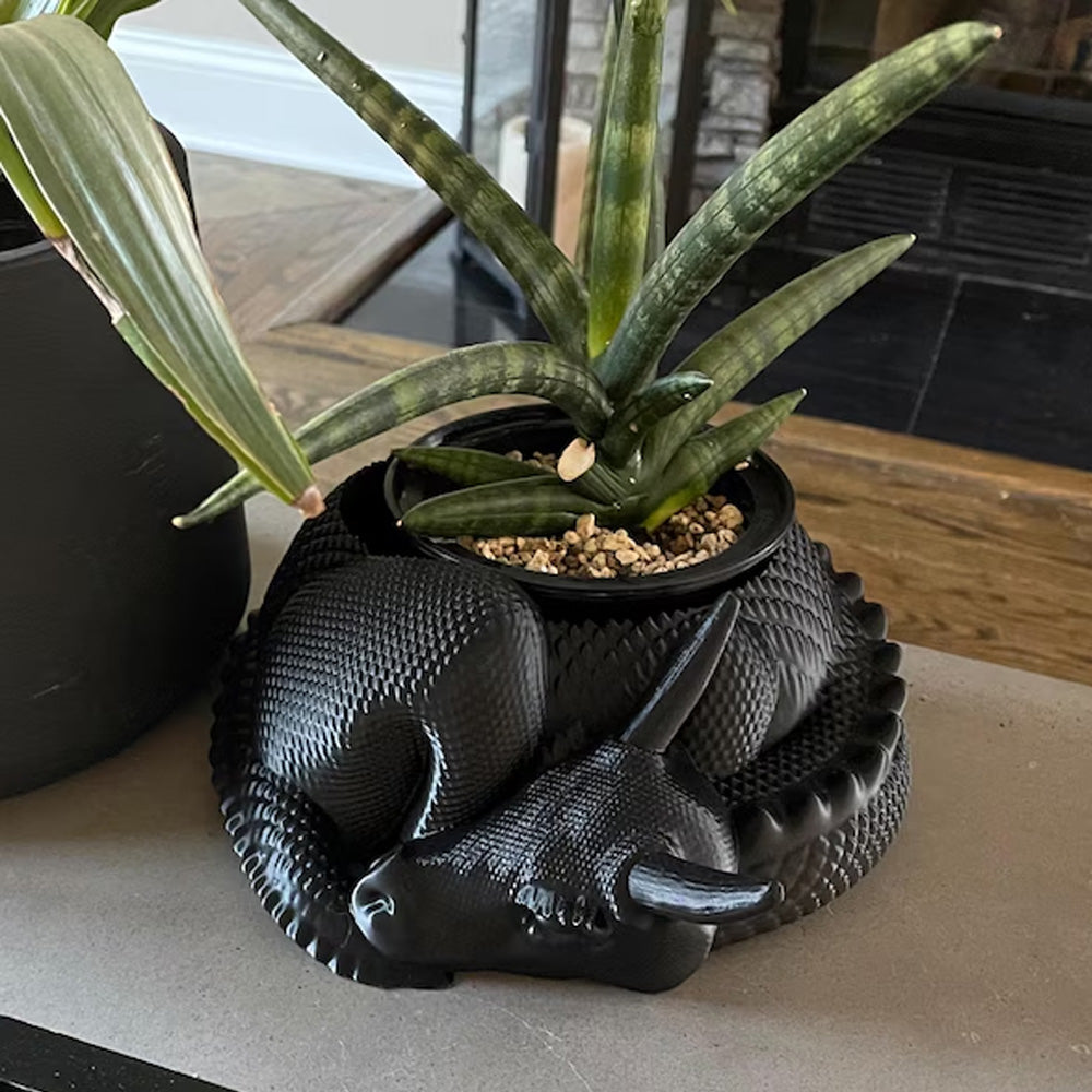 Dragon Planter, 3D Printed, Fantasy Decor, Dragon Pot, Dragon Bowl, Dragon Dish