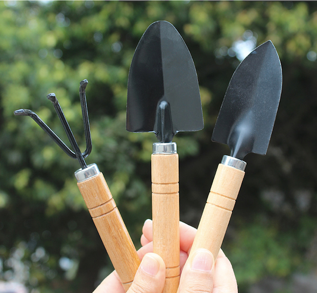 3-Piece Mini Garden Tool Set – Wooden Handle Trowel, Transplanter & Cultivator for Indoor Plants, Potted Succulents & Outdoor Gardening
