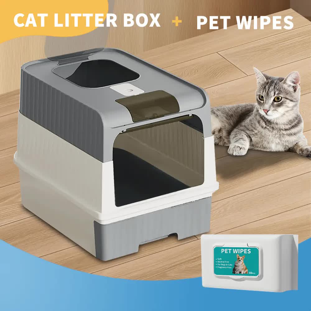 CAT-GREY-RA