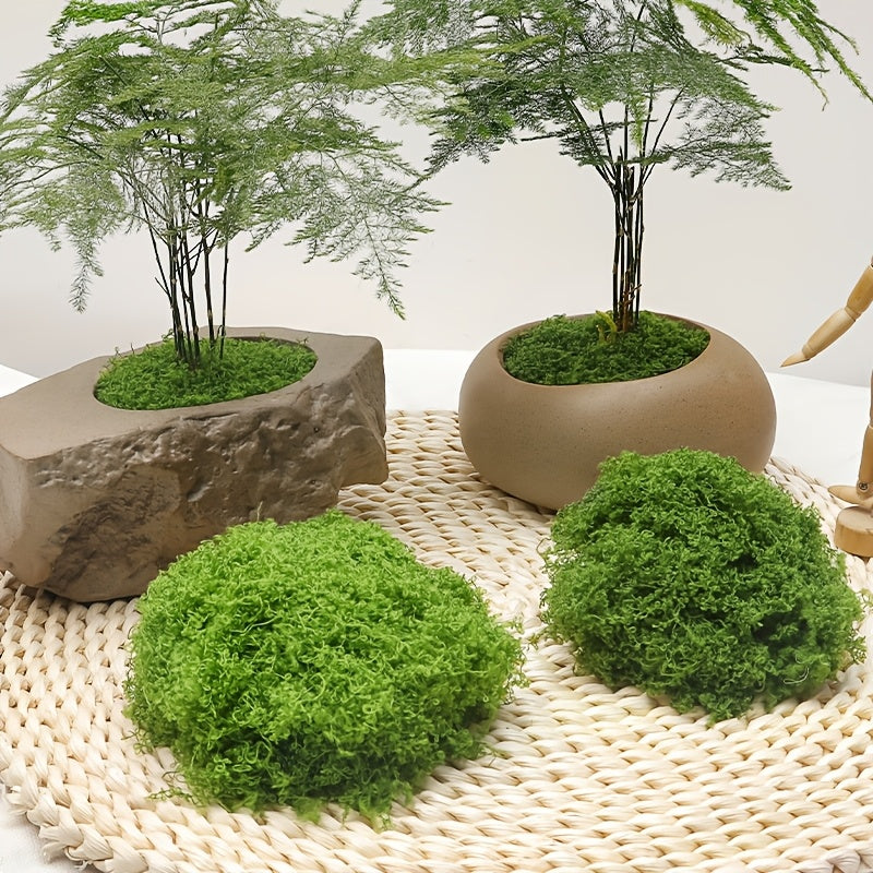 diy artificial moss lawn-Dark Green Filamentous Moss 50g