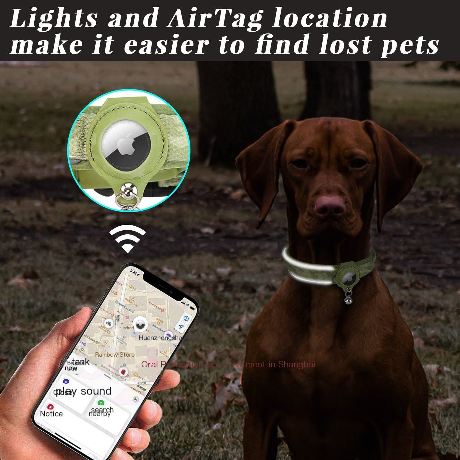 Pet positioning collar-Heart Green 1Pair2-L-without locator
