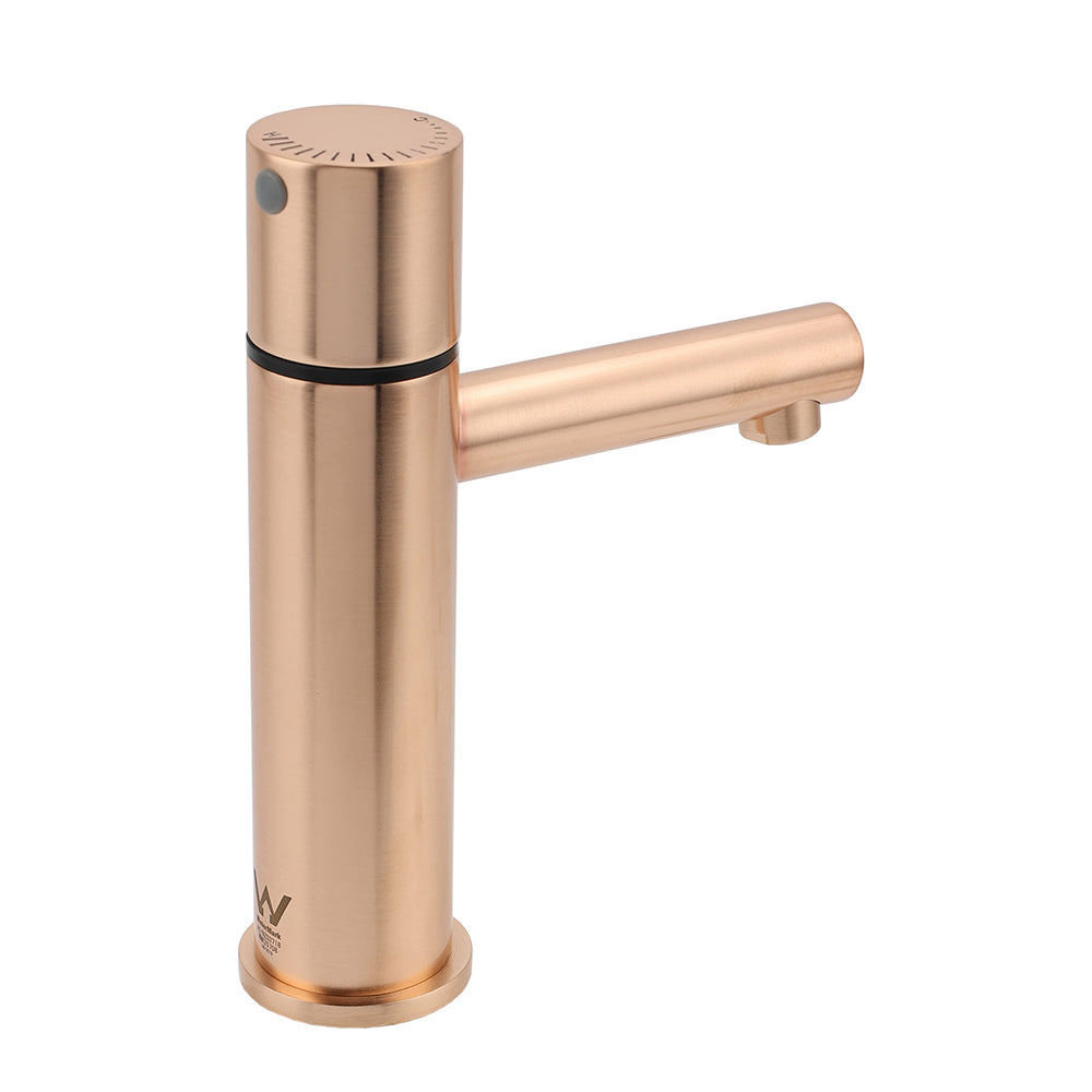 WELS 6L/min Rose Gold Basin Mixer Vanity Sink Bubble Faucet Tap Washing Laundry