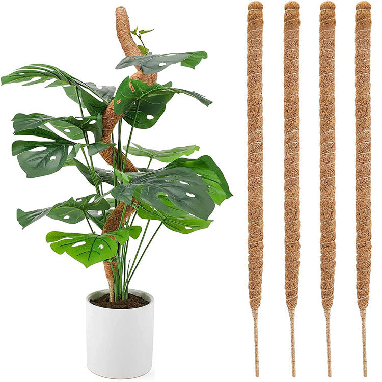 pcs Monstera moss rods for indoor plants, bendable plant holder