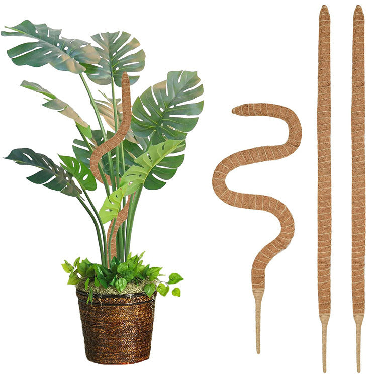 pcs Monstera moss rods for indoor plants, bendable plant holder