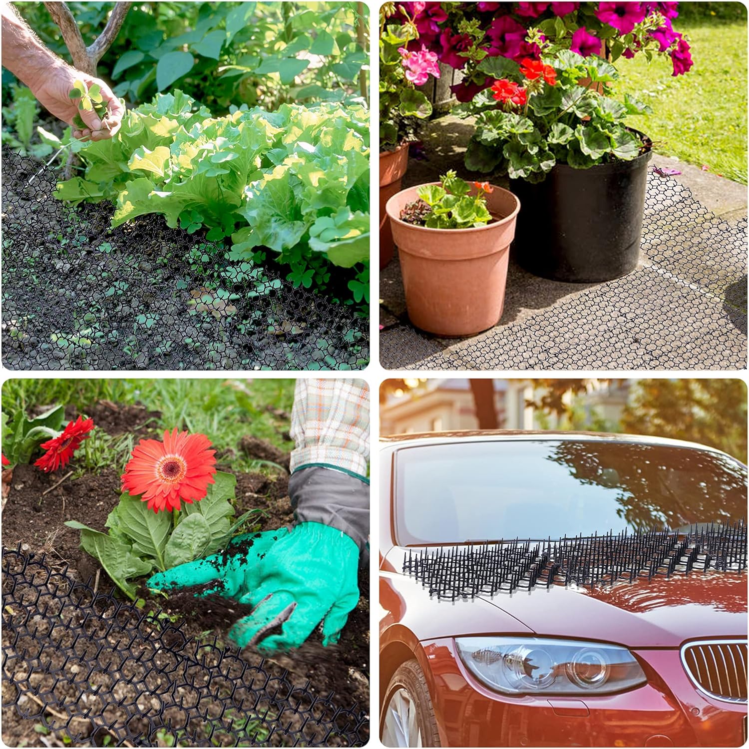 12 pcs 15 cm x 20 cm Spike Mat, Cat Scare with Spikes, Dog Mat, Plastic Net for Animals