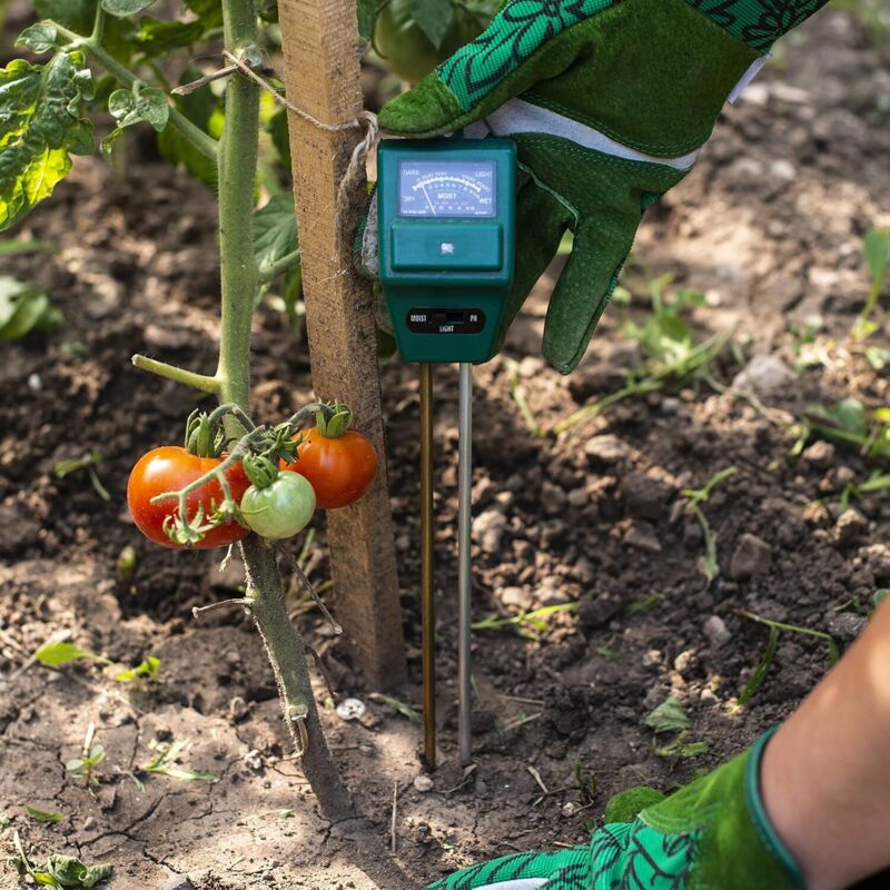 3-in-1 Soil pH Meter Soil Test Kit Plant Moisture Meter PH Soil Meter for Flowers/Grass/Plant/Garden/Farm/Lawn 2905038MM