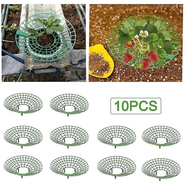 10 pcs Strawberry Plant Support Cages Climbing Rack Strawberry Rack Frame Holder Balcony Planting Rack Fruit Support Garden