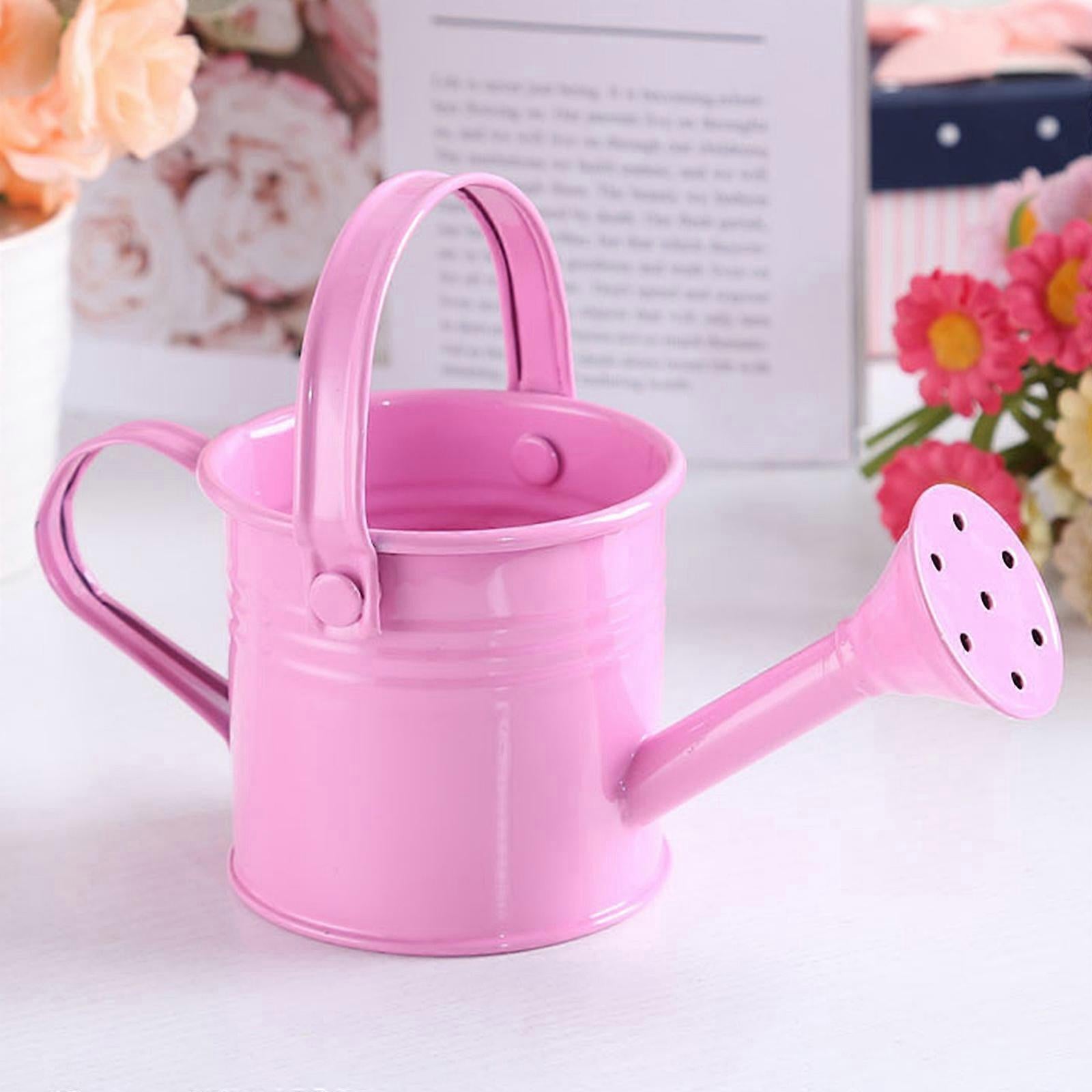 100% New, Mini Iron Watering Can, Spray Bottle, Metal Forging with Handle, Sprinkler Shower Pink