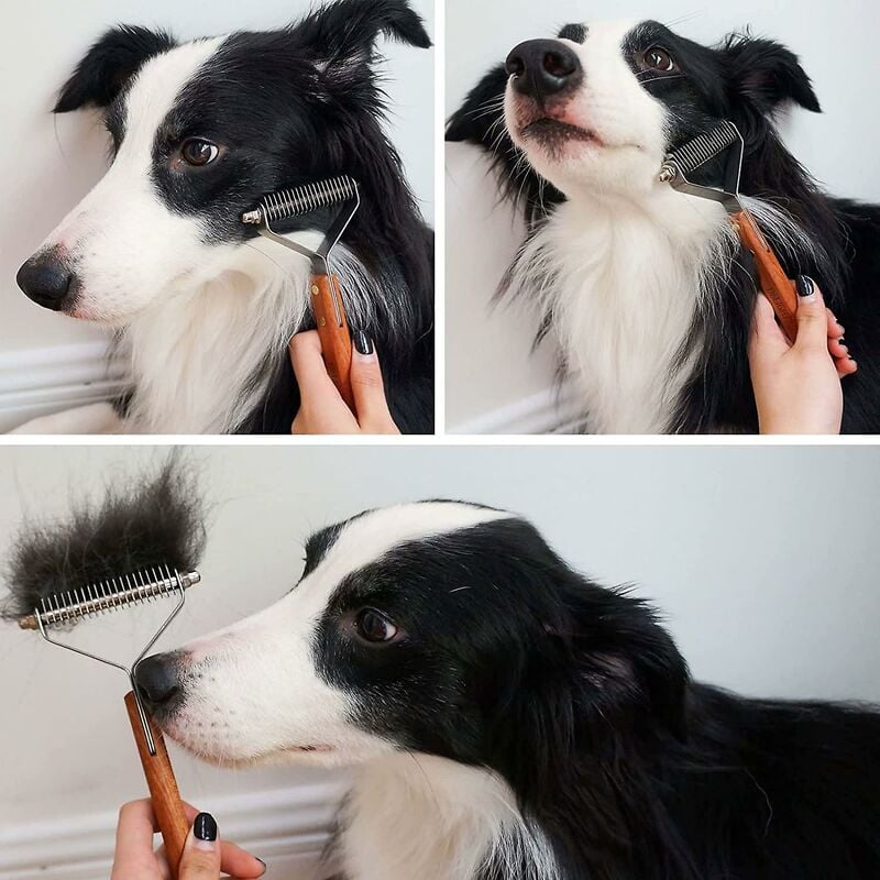 Coat King Dog and Cat Brush, Pet Grooming Comb Deshedding Rake Significantly Reduces Shedding