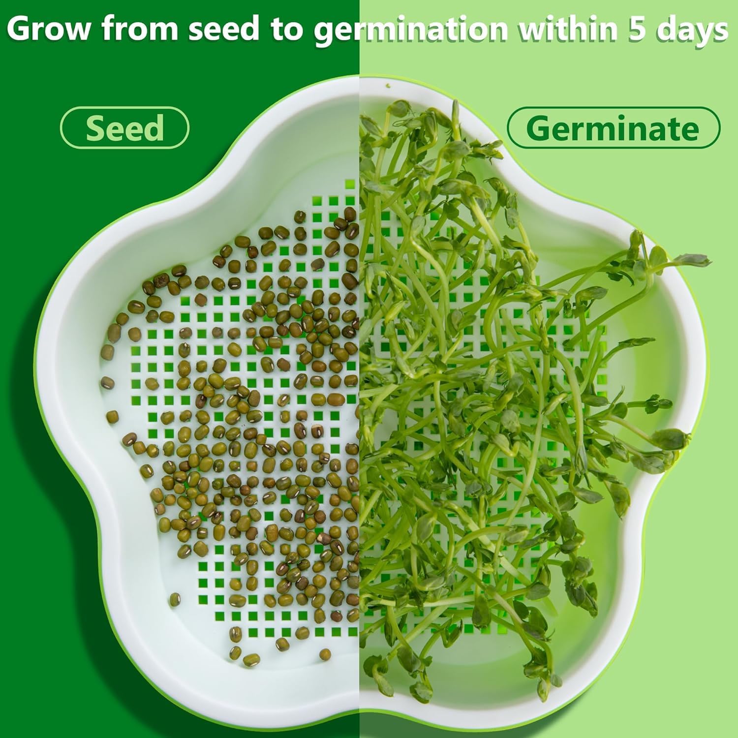 Petluno 4 pieces seedling pots with lids, 16 cm seedling pot BPA-free healthy hydroponic growing pot soil-free sprouting container for growing mung beans, alfalfa, wheatgrass