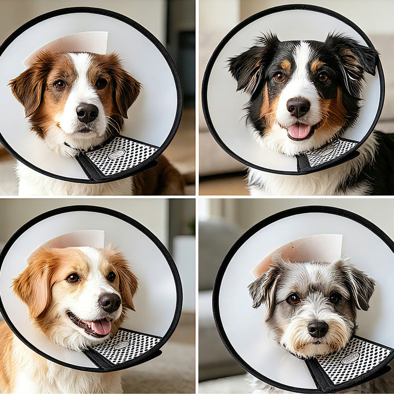 Classic Elizabethan Collar - Anti-Licking Collar - Multiple Sizes - Adjustable - Bite-Resistant - Transparent - Flea & Tick Prevention & Anti-Licking - Velcro Closure - For Cats & Dogs -27-31CM - 1 Piece